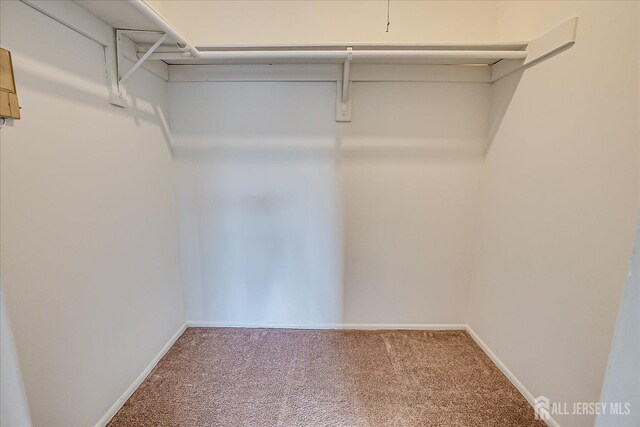 223 Edison Glen Ter, Edison, NJ 08837 - spacious closet with carpet