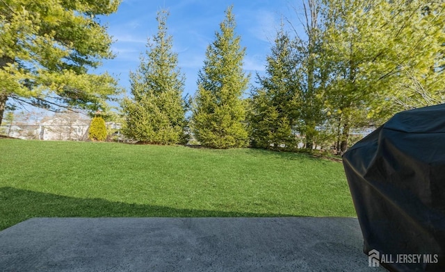 view of green lawn featuring a patio area