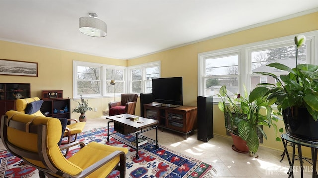 living area with ornamental molding