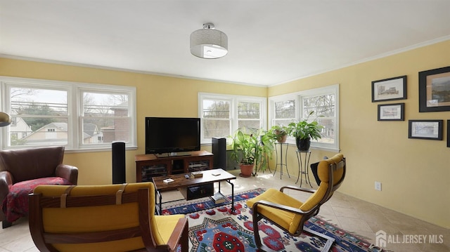 living room with crown molding and tile patterned flooring