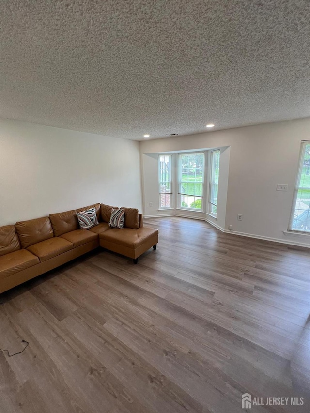 4108 Dilts Ln, Bridgewater, NJ 08807 - living room featuring wood finished floors, recessed lighting, and a textured ceiling