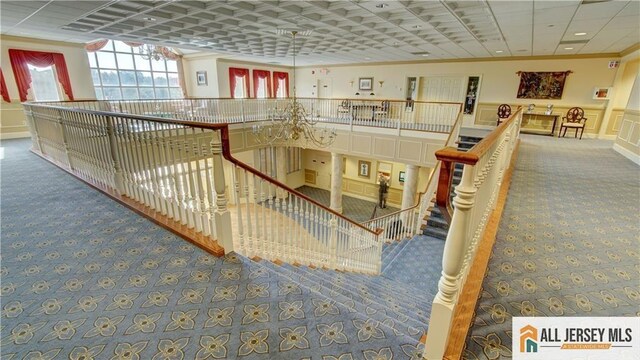 staircase featuring ornamental molding and carpet floors