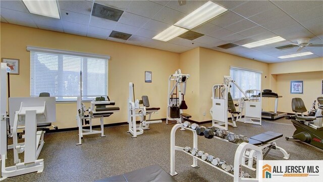 workout area with a paneled ceiling and ceiling fan