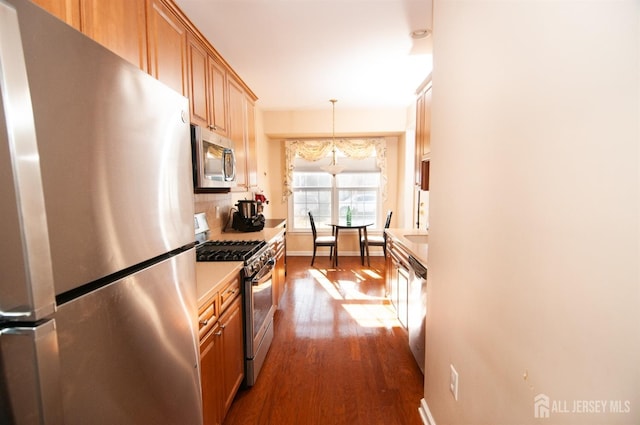 kitchen with decorative backsplash, appliances with stainless steel finishes, dark hardwood / wood-style flooring, and hanging light fixtures