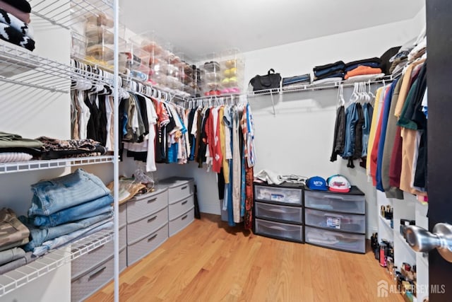 spacious closet with wood finished floors