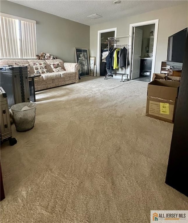 bedroom with carpet floors, a closet, a textured ceiling, a spacious closet, and ensuite bath