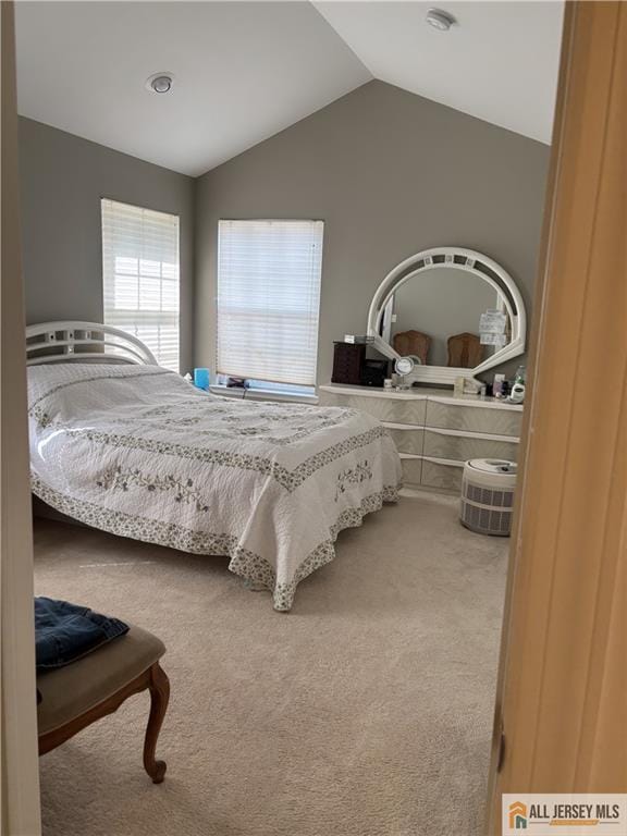 bedroom featuring carpet floors and lofted ceiling