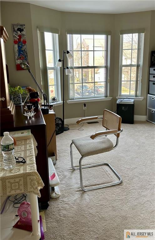 interior space with carpet floors and baseboards