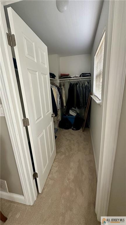 spacious closet with light colored carpet