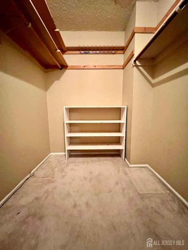 37 Albury Way N, Brunswick, NJ 08902 - spacious closet with carpet