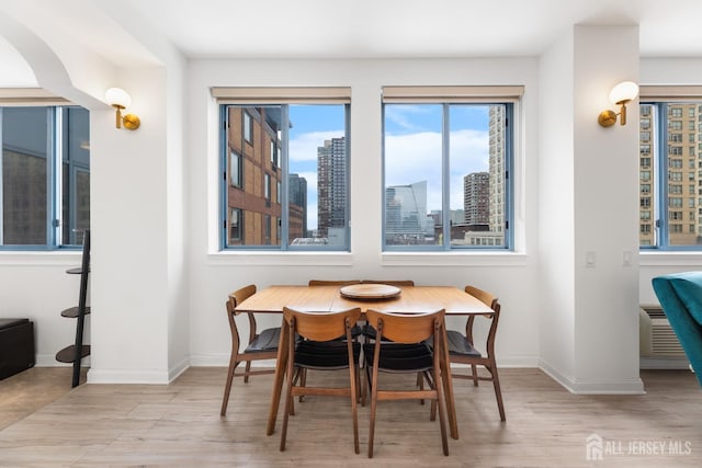 dining room featuring baseboards, a city view, and wood finished floors