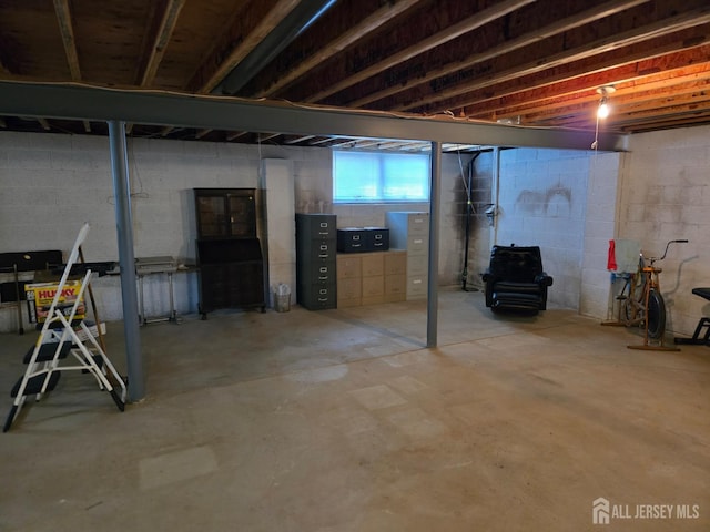 16 Phillip Ct, Monroe, NJ 08831 - view of below grade area