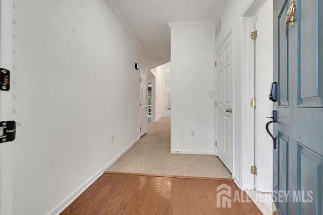 8 Amber Dr, Old Bridge, NJ 08857 - photo 8