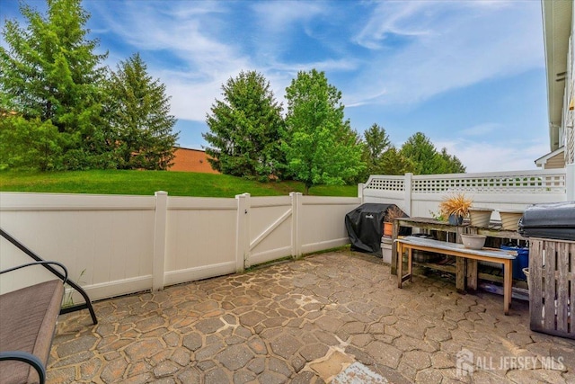 2420 Canterbury Ln, North Brunswick, NJ 08902 - view of patio / terrace with grilling area and a gate