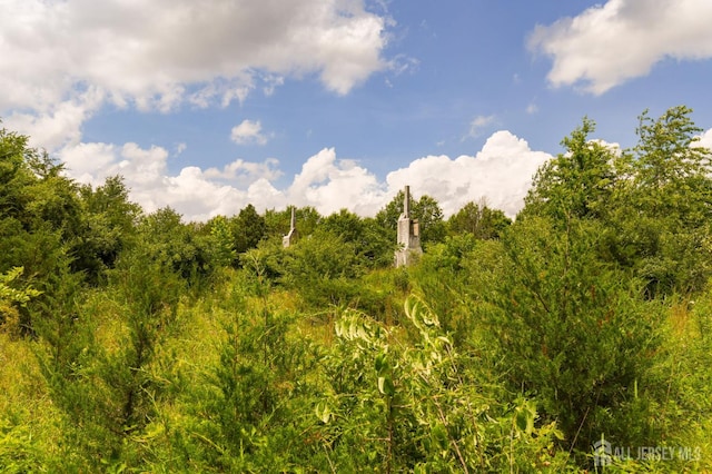 146 Grouser Rd, Franklin Twsp, NJ 08873 - photo 8