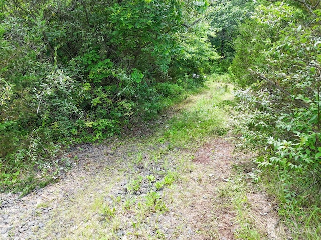 146 Grouser Rd, Franklin Twsp, NJ 08873 - photo 4