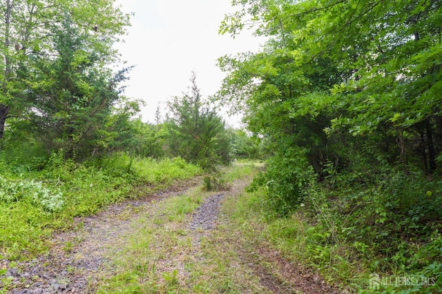 146 Grouser Rd, Franklin Twsp, NJ 08873 - photo 6