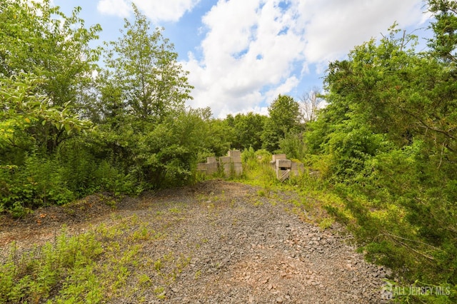 146 Grouser Rd, Franklin Twsp, NJ 08873 - photo 9