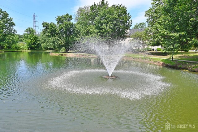 273 Dorset Ct, Piscataway, NJ 08854 - photo 23