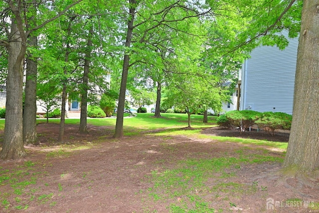273 Dorset Ct, Piscataway, NJ 08854 - photo 24