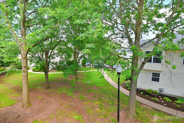 273 Dorset Ct, Piscataway, NJ 08854 - photo 21