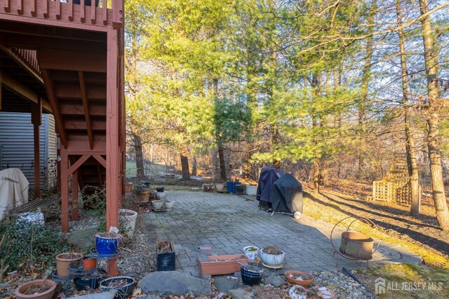 view of yard featuring a patio area