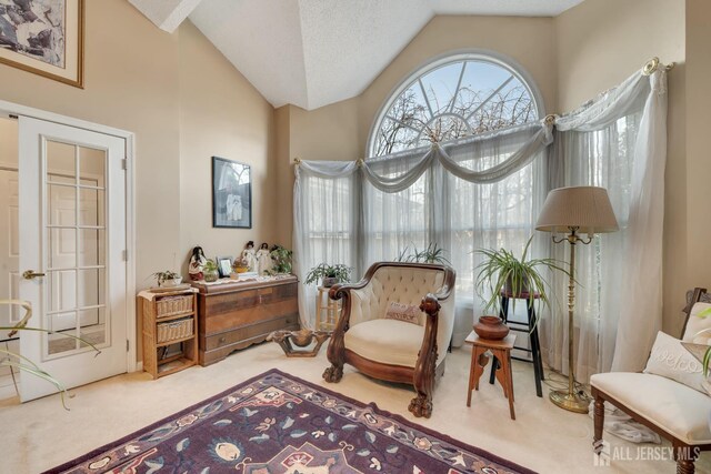 sitting room featuring a textured ceiling, high vaulted ceiling, and carpet