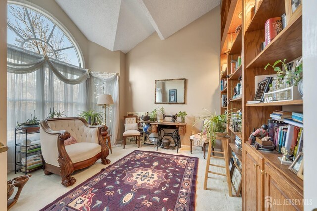 living area with lofted ceiling, light colored carpet, and a textured ceiling