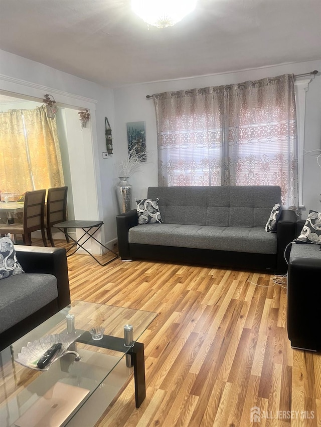 living room featuring hardwood / wood-style flooring