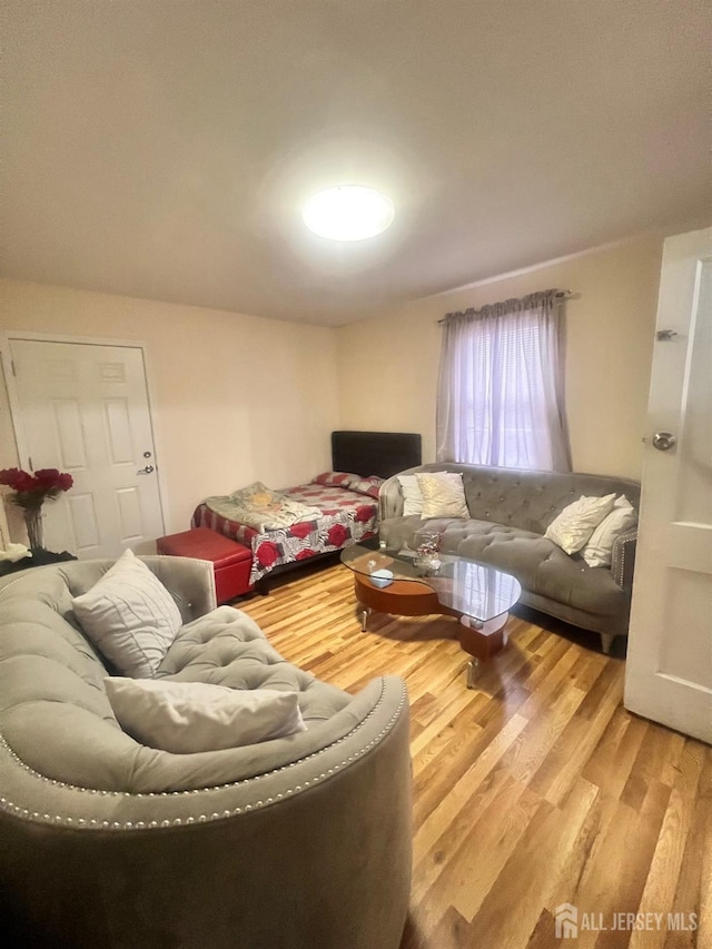 living room with wood-type flooring