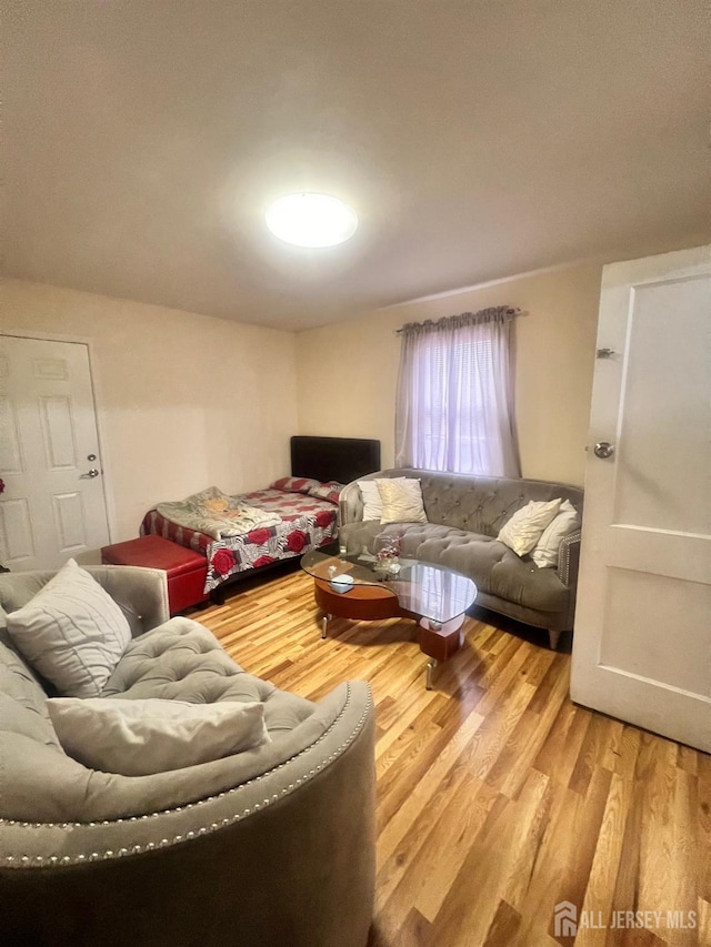 living room featuring hardwood / wood-style floors