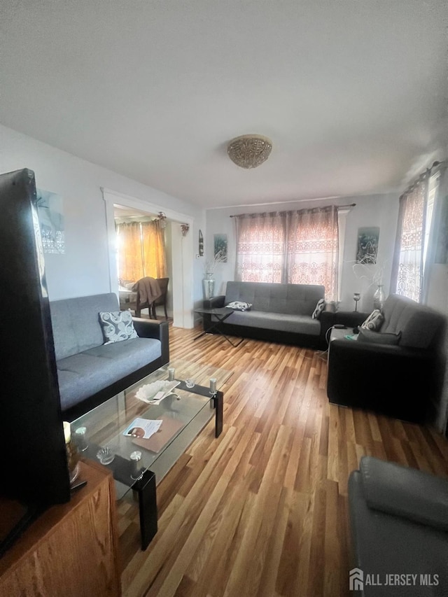 living room with hardwood / wood-style flooring