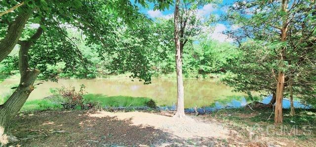 view of local wilderness featuring a water view