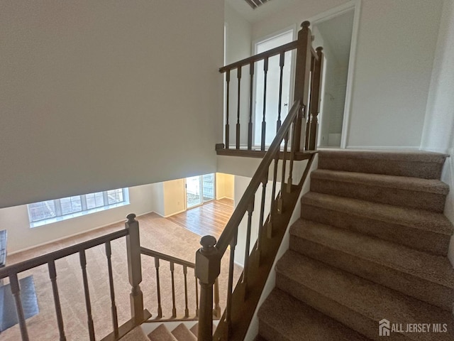 staircase featuring carpet