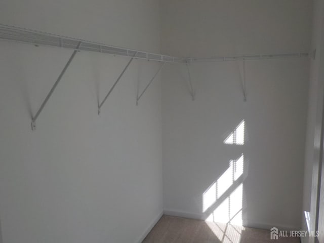 walk in closet featuring light carpet
