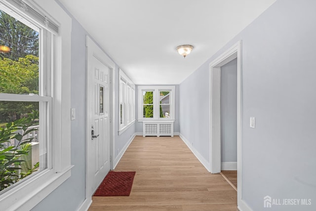 12 Buchman St, Piscataway, NJ 08854 - photo 9