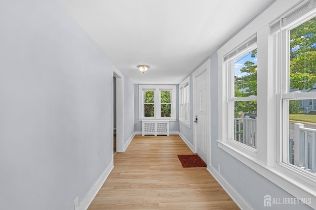 12 Buchman St, Piscataway, NJ 08854 - photo 10