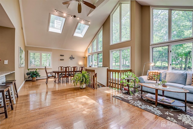 9 NW Fielding Pl, Edison, NJ 08820 - living area with ceiling fan, high vaulted ceiling, wood finished floors, track lighting, and a skylight