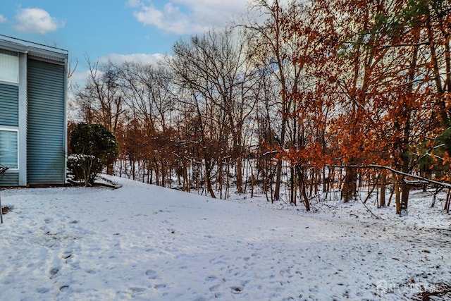 view of yard covered in snow