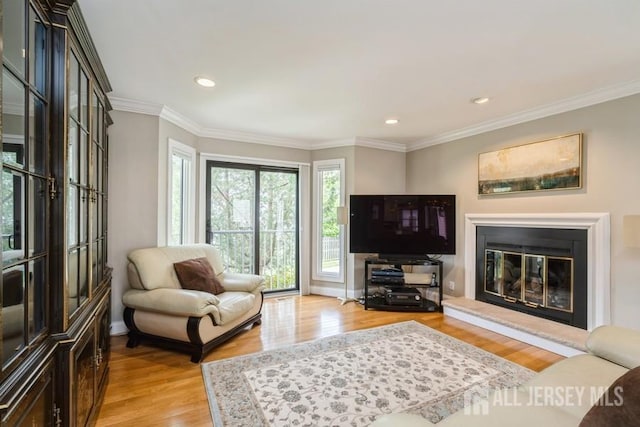 580 Patten Ave Unit 53, Long Branch, NJ 07740 - living area with light wood-style flooring, a glass covered fireplace, crown molding, recessed lighting, and baseboards