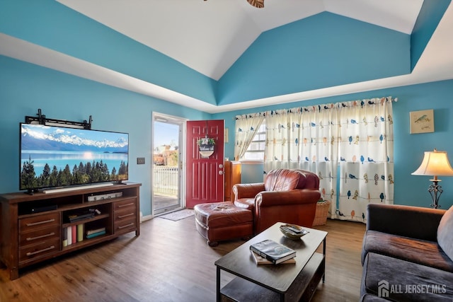 living room featuring wood-type flooring and lofted ceiling