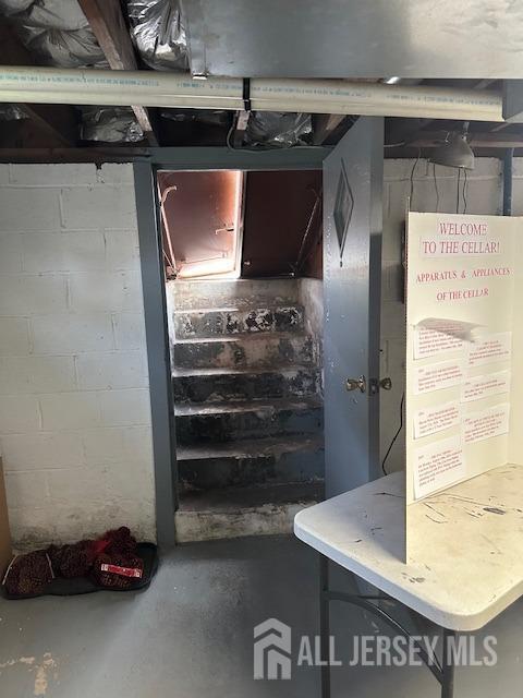 68 Suydam Ave, Edison, NJ 08817 - view of unfinished basement