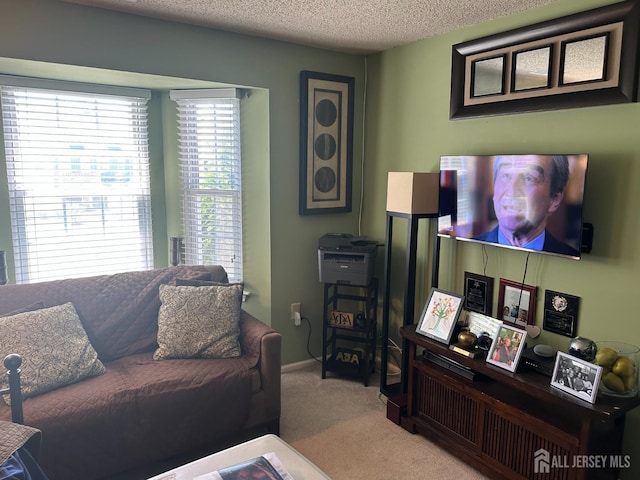 8 Bristol Dr, North Brunswick, NJ 08902 - carpeted living room with a textured ceiling
