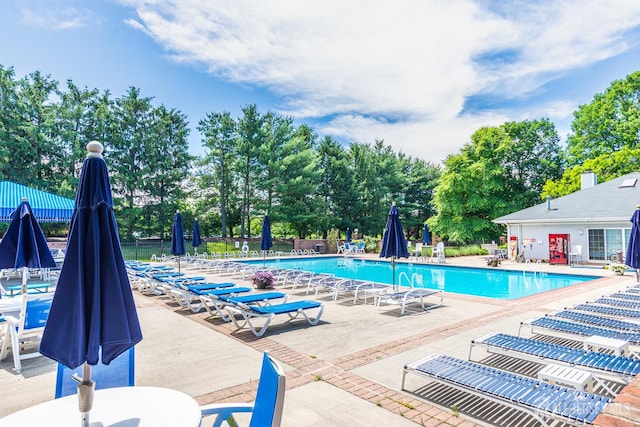 8 Bristol Dr, North Brunswick, NJ 08902 - community pool featuring a patio area and view of wooded area