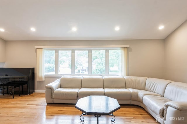 14 Agate Rd, East Brunswick, NJ 08816 - living area with light wood-type flooring, recessed lighting, and baseboards