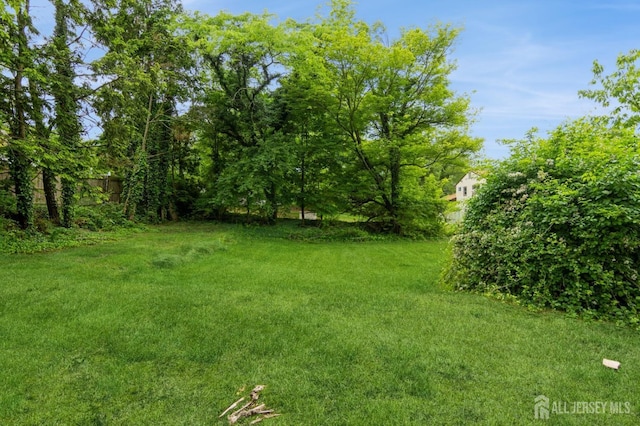 14 Agate Rd, East Brunswick, NJ 08816 - view of grassy yard