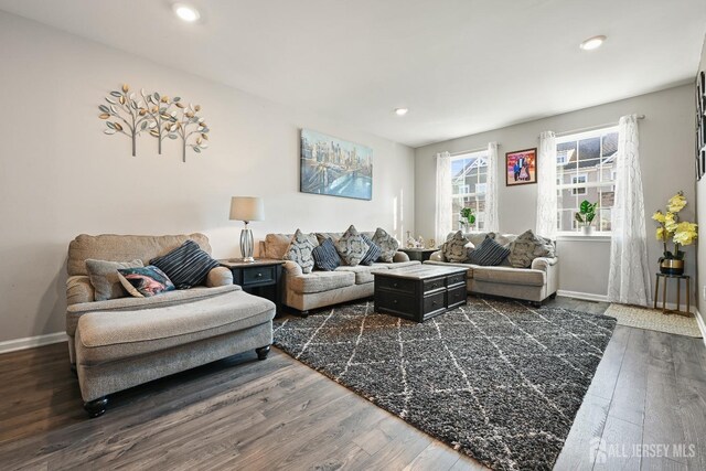 living room featuring dark wood-type flooring