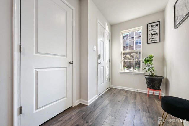 doorway with dark hardwood / wood-style flooring