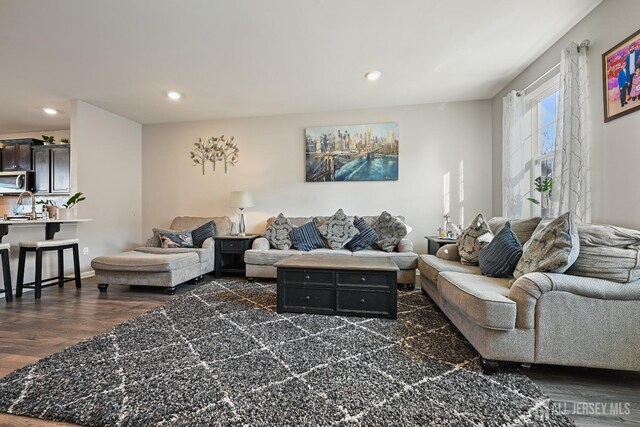 living room featuring dark hardwood / wood-style floors