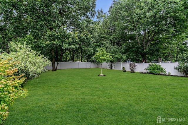 31 Jordan Rd, Middlesex, NJ 07067 - photo 42